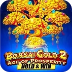 Bonsai Gold 2